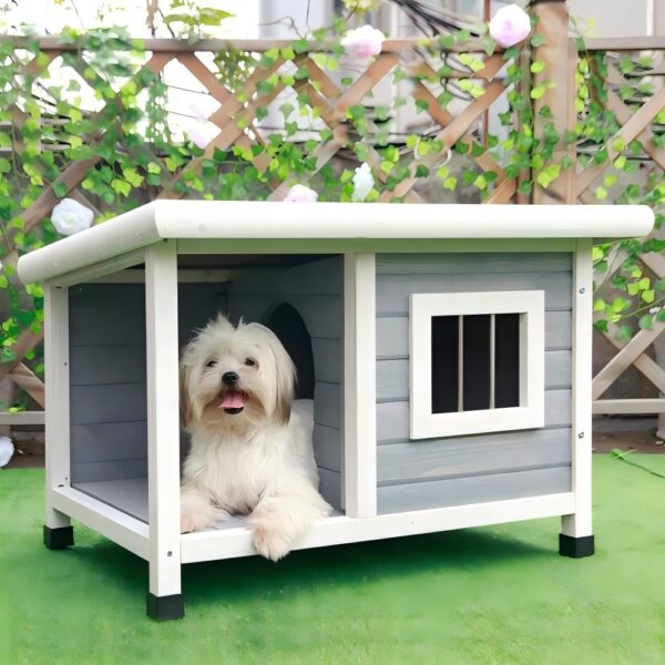 Doghouse