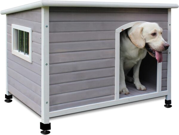 Doghouse